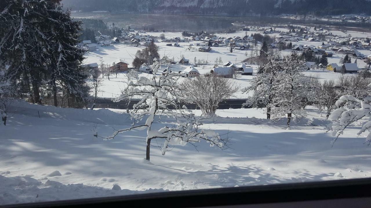 Ferienhaus-cerny *